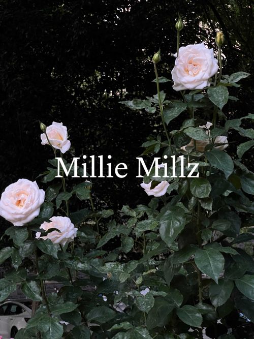 Millz Milliemillz Onlyfans Nude And Photos