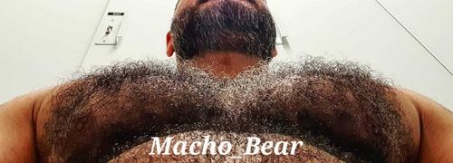 macho_obear nude