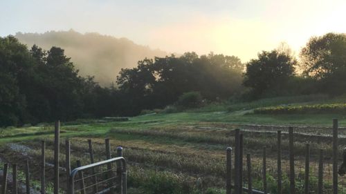 farmcubjosh nude