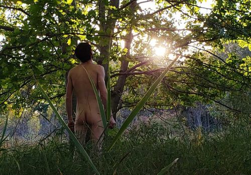 naked.forest nude